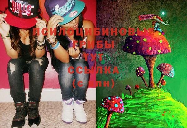 марки lsd Приозерск